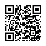 [SM10]HR マーシャドー&カイリキーGX（ダブルブレイズ 110/095 闘 ）[SM10110] QRコード