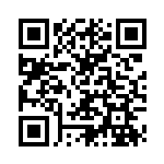 [SM10]UR 炎の結晶（ダブルブレイズ 114/095 トレーナーズ グッズ ）[SM10114] QRコード