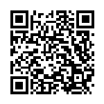 [SM10a]RR クチートGX（ジージーエンド 030/054 鋼 ）[SM10a030] QRコード