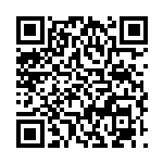 [SM10b]R ムサシとコジロウ（スカイレジェンド 048/054 トレーナーズ サポート ）[SM10b048] QRコード