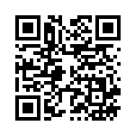 [SM11]R ギルガルド（ミラクルツイン 041/094 超 ）[SM11041] QRコード