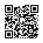 [SM11]C ミニリュウ（ミラクルツイン 065/094 竜 ）[SM11065] QRコード