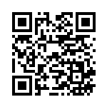 [SM11]SR グリーンの戦略（ミラクルツイン 106/094 トレーナーズ サポート ）[SM11106] QRコード