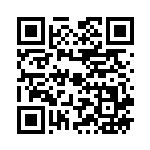 [SM11]HR プテラGX（ミラクルツイン 110/094 闘 ）[SM11110] QRコード