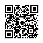 [SM11]UR プレシャスボール（ミラクルツイン 113/094 トレーナーズ グッズ ）[SM11113] QRコード