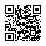 [SM11]UR ジャイアントボム（ミラクルツイン 114/094 トレーナーズ グッズ ）[SM11114] QRコード