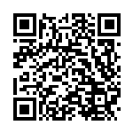 [SM11a]UR グレートキャッチャー（リミックスバウト 078/064 トレーナーズ グッズ ）[SM11a078] QRコード