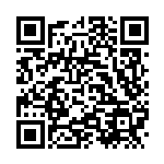 [SM11b]U リーリエの全力（ドリームリーグ 049/049 トレーナーズ サポート ）[SM11b049] QRコード