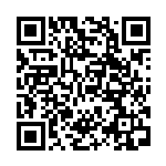 [SM12a]ポリゴン2（タッグオールスターズ 111/049 無 ）[SM12a111] QRコード