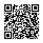 [SM12a]炎の結晶（タッグオールスターズ 133/049 トレーナーズ グッズ ）[SM12a133] QRコード