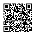 [SM12a]炎の結晶（タッグオールスターズ 133/049 トレーナーズ グッズ ）[SM12a133] QRコード