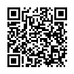 [SM12a]ミステリートレジャー（タッグオールスターズ 134/049 トレーナーズ グッズ ）[SM12a134] QRコード