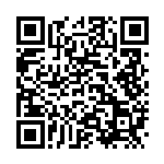 [SM12a]ミステリートレジャー（タッグオールスターズ 135/049 トレーナーズ グッズ ）[SM12a135] QRコード