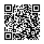 [SM12a]SR エリカのおもてなし（タッグオールスターズ 190/049 トレーナーズ サポート ）[SM12a190] QRコード