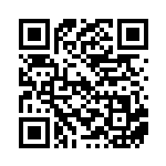 [SM1M]UR ネストボール（コレクション ムーン 071/060 トレーナーズ グッズ ）[SM1M071] QRコード