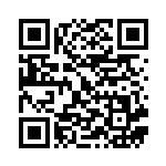 [SM3+]U ポケモンいれかえ（ひかる伝説 065/072 トレーナーズ グッズ ）[SM3+065] QRコード