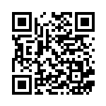 [SM4+]レジアイス（GXバトルブースト 024/114 水 ）[SM4+024] QRコード