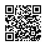 [SM4+]ライチュウ（GXバトルブースト 029/114 雷 ）[SM4+029] QRコード