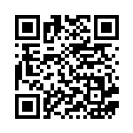 [SM4+]RR カプ・コケコGX（GXバトルブースト 032/114 雷 ）[SM4+032] QRコード