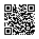 [SM4+]RR デンジュモクGX（GXバトルブースト 033/114 雷 ）[SM4+033] QRコード