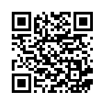 [SM4+]ヤミラミ（GXバトルブースト 063/114 悪 ）[SM4+063] QRコード