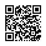 [SM4+]RR テッカグヤGX（GXバトルブースト 071/114 鋼 ）[SM4+071] QRコード