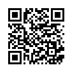 [SM4+]RR ニンフィアGX（GXバトルブースト 073/114 フェアリー ）[SM4+073] QRコード