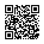 [SM4+]ネストボール（GXバトルブースト 092/114 トレーナーズ グッズ ）[SM4+092] QRコード