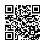 [SM4+]マルチつけかえ（GXバトルブースト 095/114 トレーナーズ グッズ ）[SM4+095] QRコード