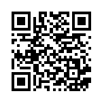 [SM4+]ルザミーネ（GXバトルブースト 109/114 トレーナーズ サポート ）[SM4+109] QRコード