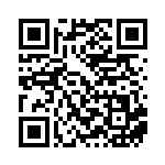 [SM6a]U 火打石（ドラゴンストーム 045/053 トレーナーズ グッズ ）[SM6a045] QRコード