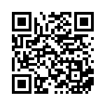 [SM6a]UR 火打石（ドラゴンストーム 065/053 トレーナーズ グッズ ）[SM6a065] QRコード