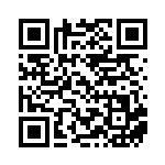 [SM6b]U ルアーボール（チャンピオンロード 060/066 トレーナーズ グッズ ）[SM6b060] QRコード