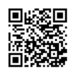 [SM8]SR アカネ（超爆インパクト 101/095 トレーナーズ サポート ）[SM8101] QRコード