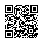 [SM8]UR あとだしハンマー（超爆インパクト 109/095 トレーナーズ グッズ ）[SM8109] QRコード