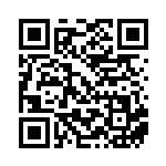 [SM8a]U エレキチャージャー（ダークオーダー 046/052 トレーナーズ グッズ ）[SM8a046] QRコード