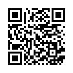 [SM9]R カイリュー（タッグボルト 065/095 竜 ）[SM9065] QRコード