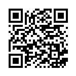 [SM9]U ふしぎなアメ（タッグボルト 081/095 トレーナーズ グッズ ）[SM9081] QRコード