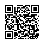 [SM9]R マサキの解析（タッグボルト 089/095 トレーナーズ サポート ）[SM9089] QRコード