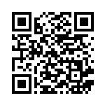 [SM9]UR ジャッジマンホイッスル（タッグボルト 117/095 トレーナーズ グッズ ）[SM9117] QRコード