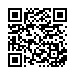 [SM9b]RR ルカリオ&メルメタルGX（フルメタルウォール 029/054 鋼 ）[SM9b029] QRコード