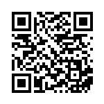 [SM9b]U ビーストブリンガー（フルメタルウォール 045/054 トレーナーズ ポケモンのどうぐ ）[SM9b045] QRコード