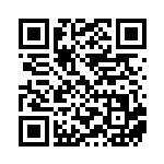 [SM9b]SR ブルーの探索（フルメタルウォール 061/054 トレーナーズ サポート ）[SM9b061] QRコード