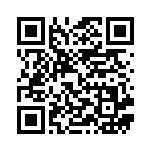 [SMA]おおきいマラサダ（スターターセット 038/059 トレーナーズ グッズ ）[SMA038] QRコード