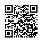 [SMC]イリマ（スターターセット改造 017/021 トレーナーズ サポート ）[SMC017] QRコード