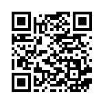 [SMG]リーリエ（デッキビルドBOX 011/041 トレーナーズ サポート ）[SMG011] QRコード