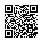 [SMG]ニンジャごっこ（デッキビルドBOX 032/041 トレーナーズ サポート ）[SMG032] QRコード