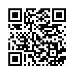 [SMI]ハイパーボール（スターターセット 025/038 トレーナーズ グッズ ）[SMI025] QRコード