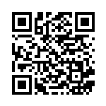 [SMI]火打石（スターターセット 026/038 トレーナーズ グッズ ）[SMI026] QRコード