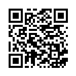 [SMI]こだわりメット（スターターセット 029/038 トレーナーズ ポケモンのどうぐ ）[SMI029] QRコード